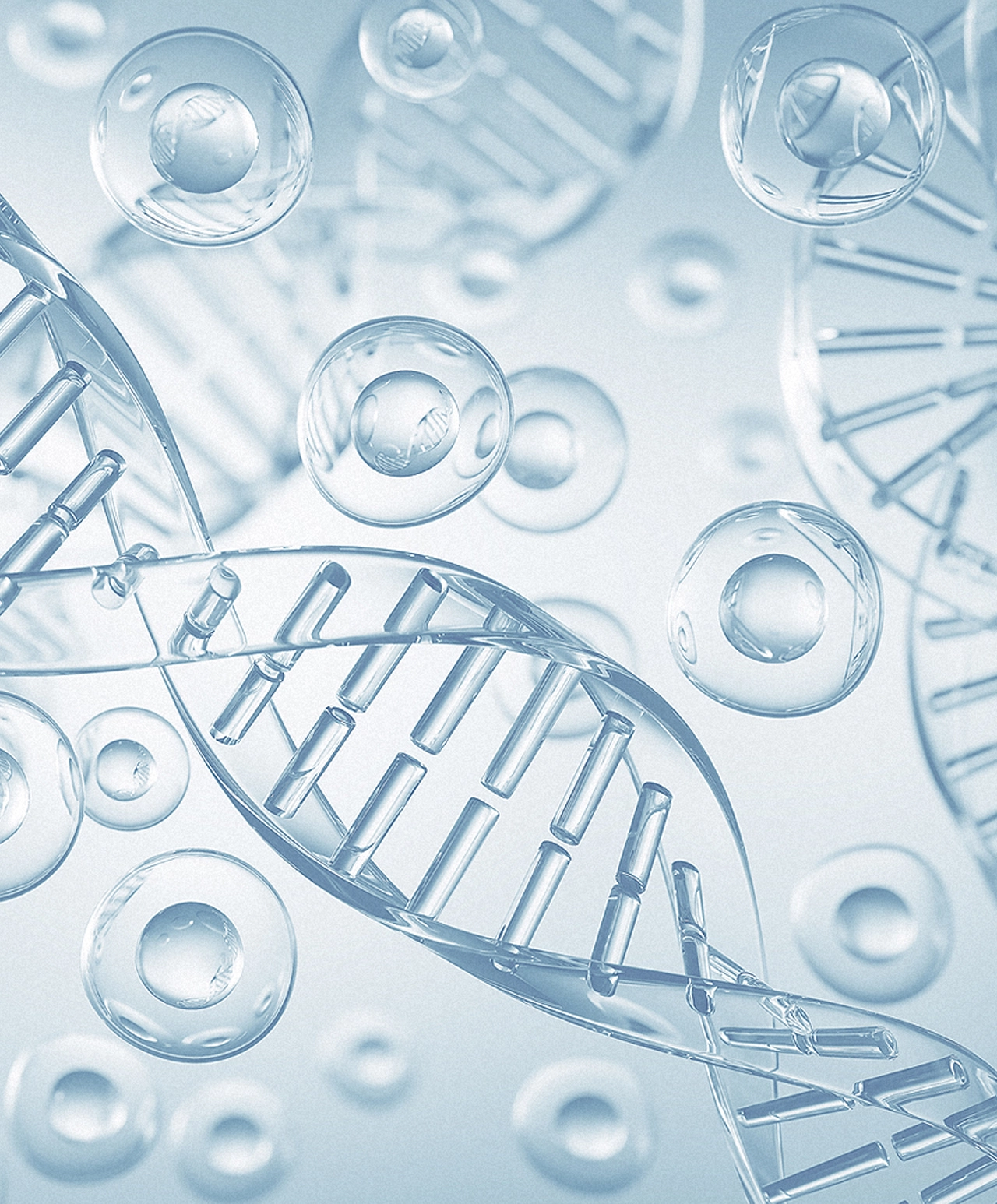 Stem Cell Therapy 이미지